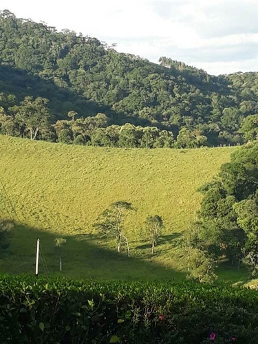 Imagem 6 de 20 de Rural - Venda - Boqueirao - Praia Grande - Mcb1038