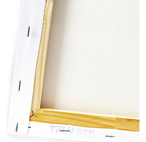 Tela Chassis Simples Telart 30x30cm