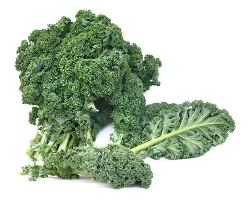 Earthcare Seeds Kale Blue Scotch Curled 500 Semillas - Sin .