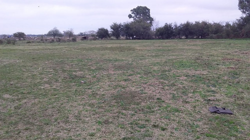 Amplios Lotes De Una Hectarea, Entrando A San Vicente!!!! Ideal Inversor, Amplios Rubros, Cabañas, Escuela, Polideportivo, Chacra, Amplia Casaquinta. Excelente Oportunidad!!!