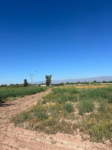 Finca En Venta En Colonia Segovia. 7,5 Has