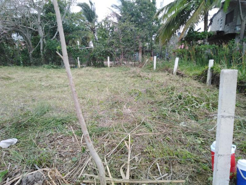 Venta Terreno 435 M² Col. Emiliano Zapata Tuxpan Veracruz