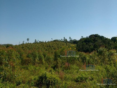 Ref.: 5467 - Area Em Pilar Do Sul Para Venda - V5467