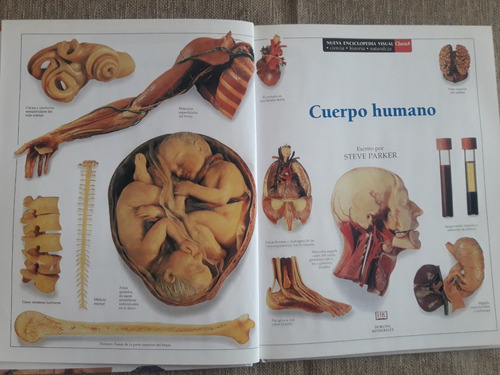 Cuerpo Humano - Nueva Enciclopedia Visual Clarin (Usado)