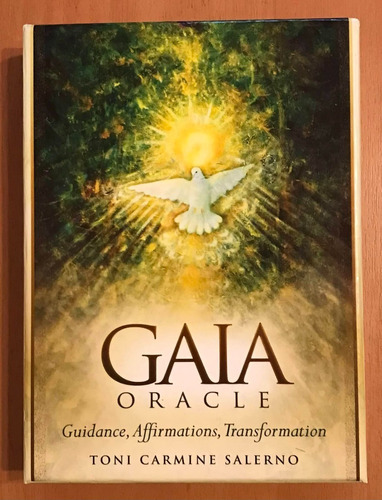 Gaia Oracle, Toni Carmine Salerno