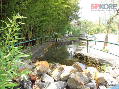 Imagem 14 de 22 de Terreno À Venda, 683 M² Por R$ 450.000,00 - Nova Higienópolis - Jandira/sp - Te1061