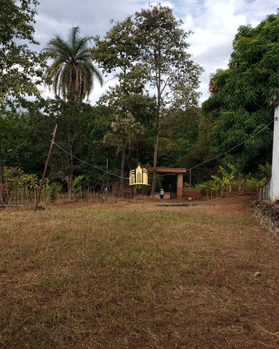 Imagem 27 de 30 de Sitio Em Esmeraldas - Urucuia - St00135 - 69587150