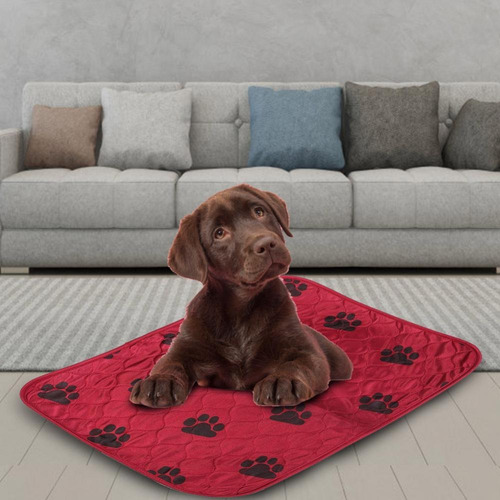 Almohadilla De Orina Reutilizable Impermeable Para Perros De
