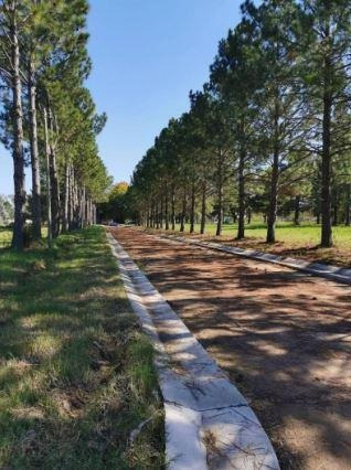 Imagen 4 de 18 de Terreno - Nueva Zelaya