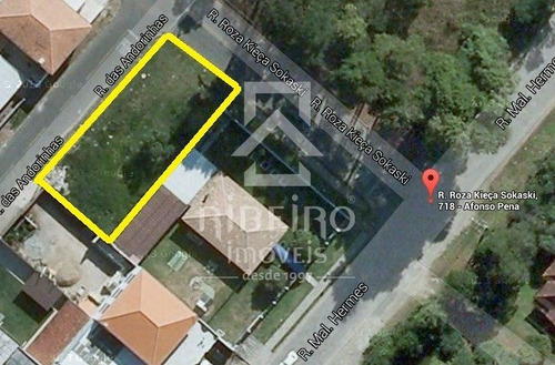 Imagem 7 de 7 de Terreno - Aviacao - Ref: 6504 - L-6504