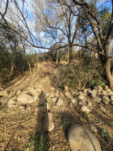 Terreno En Venta En Nono