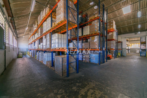 Galpão Para Alugar, 5000 M² Por R$ 75.000,00/mês - Jardim Eulina - Campinas/sp - Ga0568