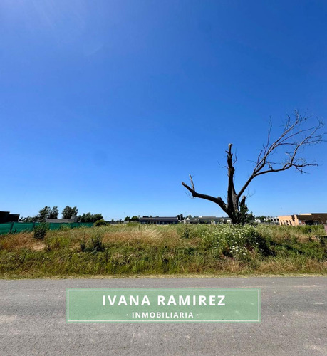 Se Vende Lote Listo Para Escriturar - Los Álamos, Luján