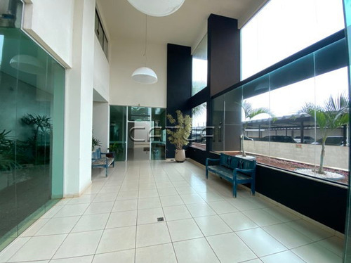 Imagem 14 de 16 de Apartamento Padrão Com 2 Quartos - 194764-v