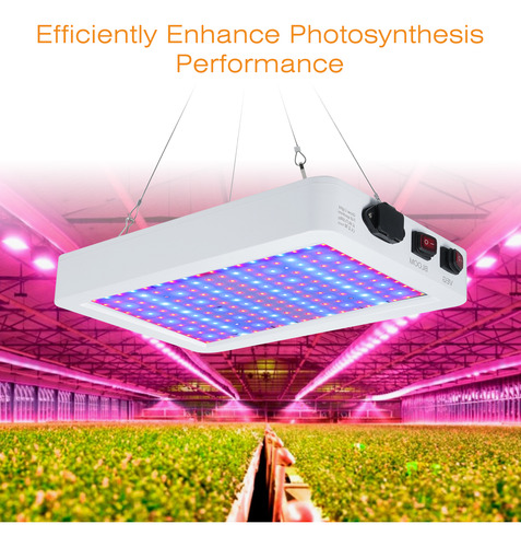 Luz De Cultivo Led Para Plantas De Interior, Espectro Comple