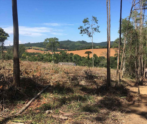Imagem 6 de 14 de A01- 1500m2 De Terreno Plaino Em Ibiuna!