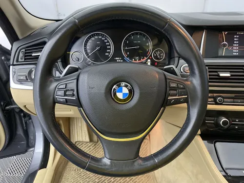 BMW Serie 5 2.0 520i F10