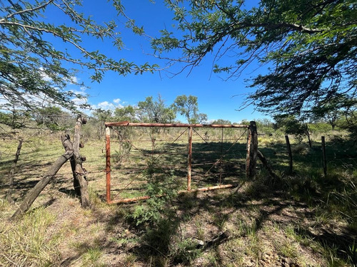 Venta Campo Villa Quillinzo (40 Hectareas) Ideal Para Loteo
