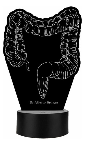 Lámpara D Intestinos Personalizada Gastroenterólogo Art12827