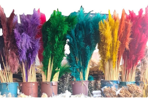 5 Pzas Pampas Frescas Decoración 1.2 Metros Colores