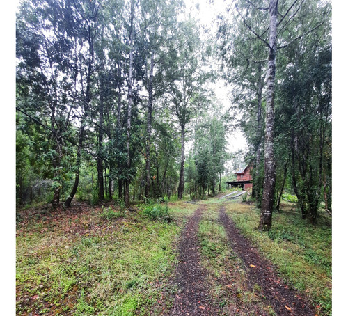Los Jardines De Caburgua, Sector Riffo, Pucon