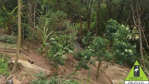 Imagem 15 de 18 de Chacara - 2707 - 70240108