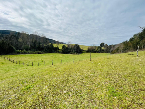Se Vende Proyecto Aprobado Por Sag Panguipulli Los Lagos