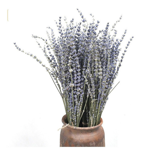Flores Decorativas De Lavanda Secas, 50 Unidades