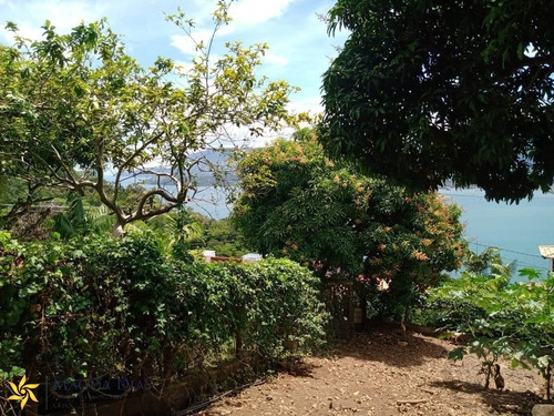 Imagem 5 de 8 de Terreno - Pv041 - 71105078