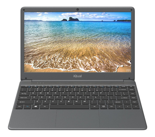Notebook Iqual Nq5 Intel Core I5 4gb 500gb 1080p Win 10 Full Color Gris
