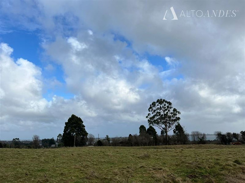 Agrícola En Venta En Calbuco