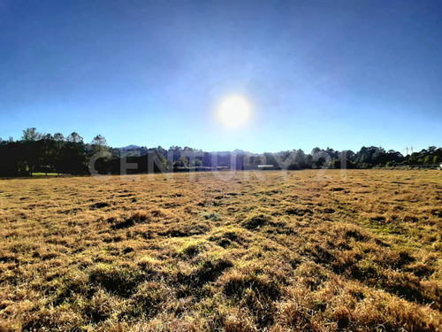 Terreno En Venta, Cuadrilla De Dolores.