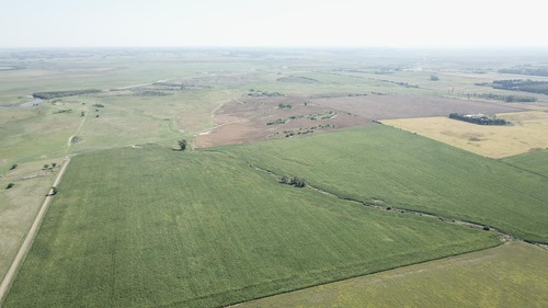 Imagen 3 de 23 de Campo - Alsina
