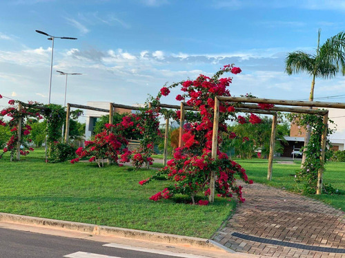Imagem 7 de 14 de Lote À Venda No Terras Alphaville Em Teresina. Fase 1 - R$320.000,00 - Te0033
