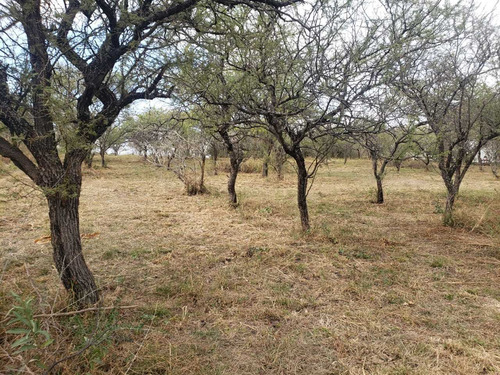 Imagen 2 de 7 de Terreno Venta Mendiolza Golf