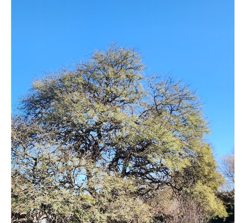 Hermoso Lote Con Excelente Ubicación En Santa Rosa De Calamuchita
