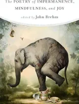 Comprar The Poetry Of Impermanence, Mindfulness, And Joy, De John Brehm. Editorial Wisdom Publications U S, Tapa Blanda En Inglés