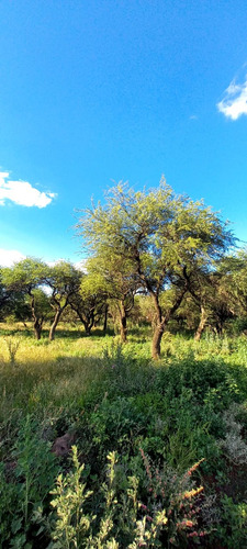 Terrenos En Cabildo-jujuy-catamarca-saavedra, Toay