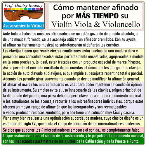 Setup Puesta A Punto X Luthier - Violín - Prof Dmitry Rodnoy (Usado)