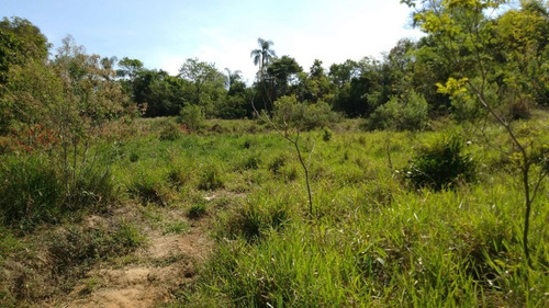Imagem 6 de 6 de Terreno - Urbano - 570