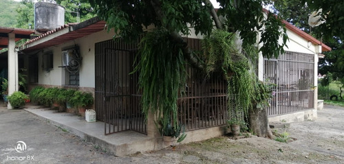 Imagen 18 de 24 de Se Vende Finca En Guayabita Turmero Estado Aragua/yessika Berrios 04249155109