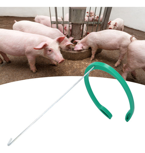 Inseminación Artificial Para Cerdos, Tamaño Ajustable, Forma