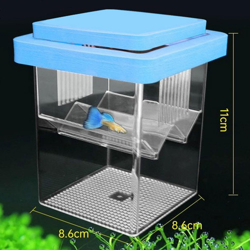 Caja De Reproducción De Peces Flotantes Caja De Azul