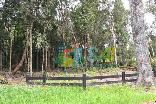 Excelente Terreno En Fundo Las Cumbres Puerto Varas!