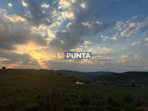Venta De Chacras En Hasta 60 Cuotas