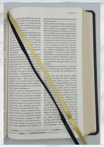 Imagen 7 de 8 de Biblia Textual Iv Edición Imit. Piel Genuina Cabra Indices