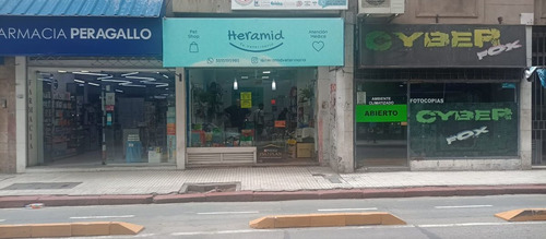 Hermoso Local Zona Centro