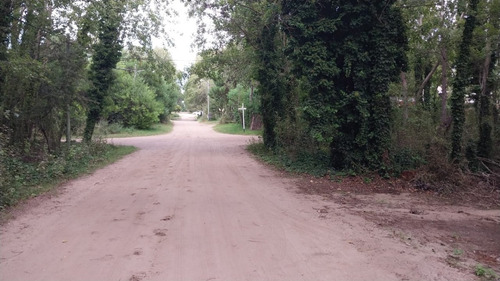 Imagen 3 de 4 de Lote Con Buena Ubicación, Y Abundante Forestación En Mar Azul.