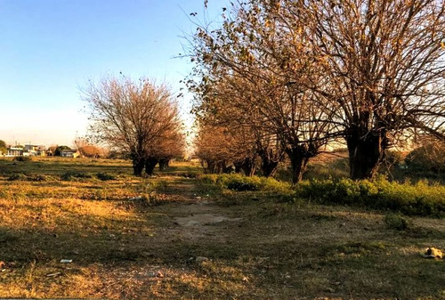 Vendo Casa + Campo 3 Padrones Fraccionados Total 4.8 Hectáreas Montevideo Urbano. Conectado A Saneamiento, Ute, Ose, Antel, Internet. Los 3 Padrones Usd 239.000 Dolares