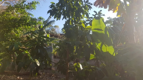 Imagen 4 de 30 de Se Vende Terreno Favorable Con Agua Y Luz Y Casita